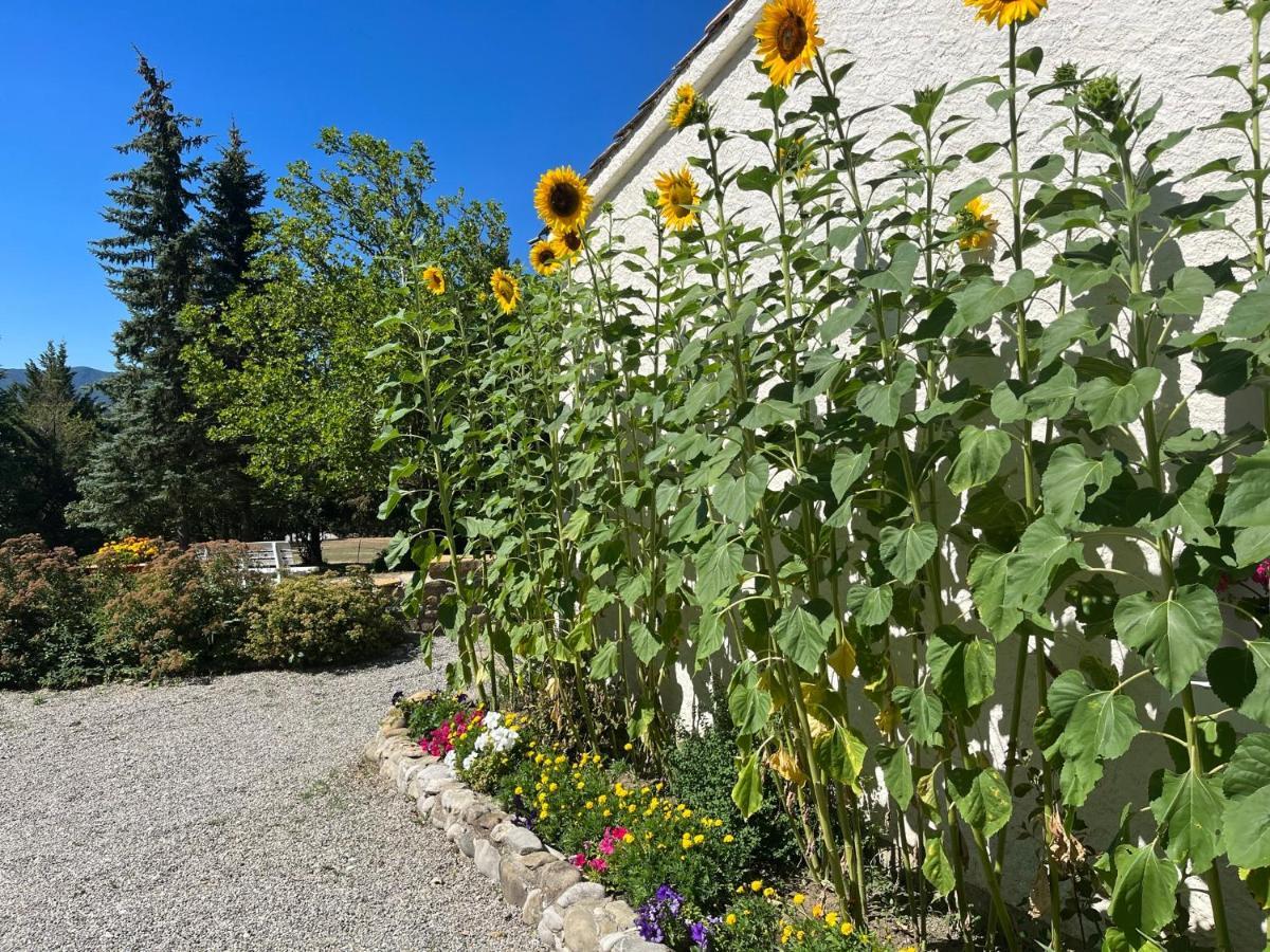 Le Cheval Blanc Bed and Breakfast Serres  Buitenkant foto